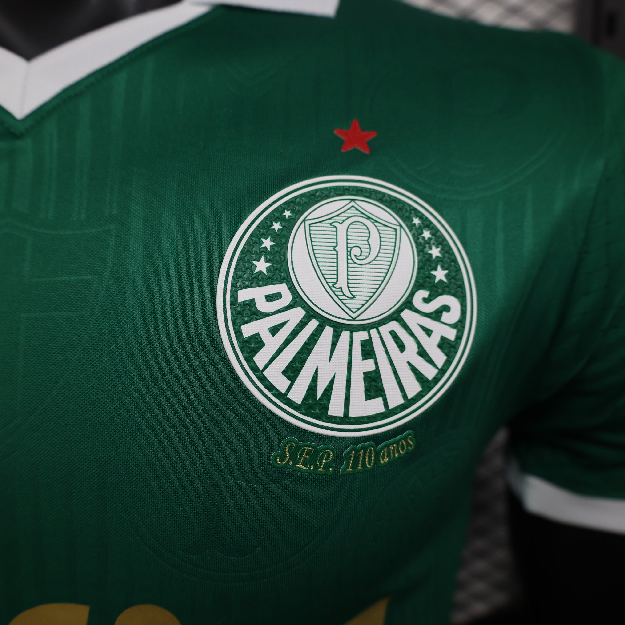 Palmeiras - 24/25 Player Version