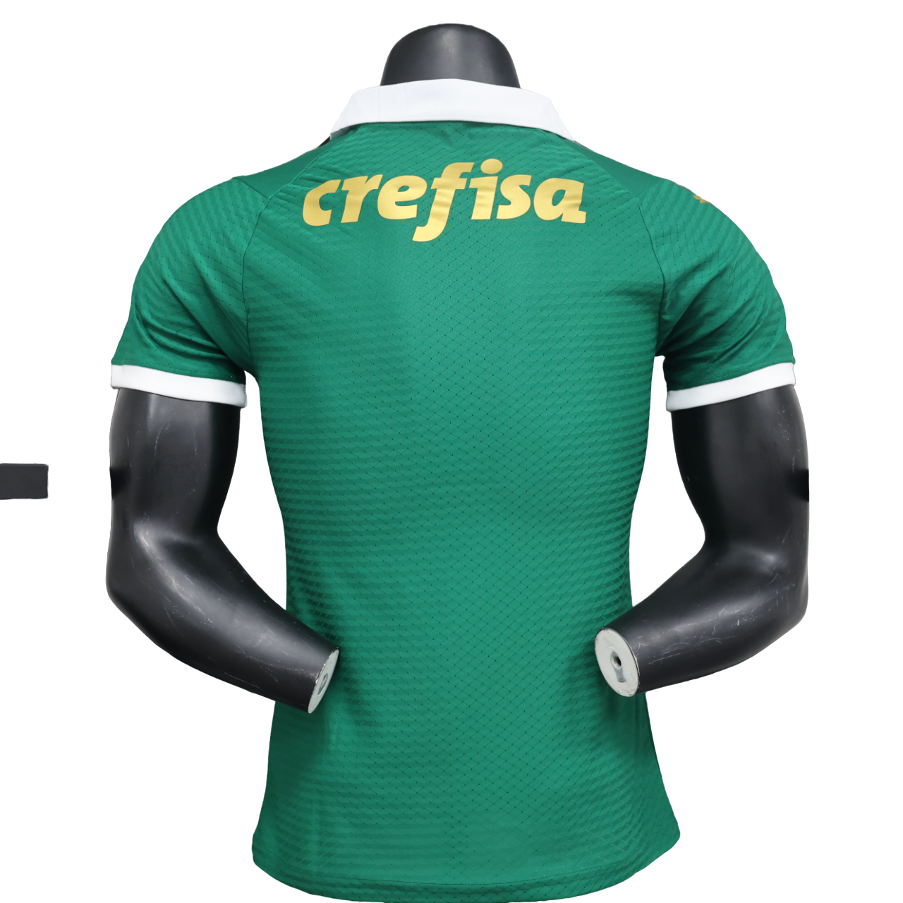 Palmeiras - 24/25 Player Version