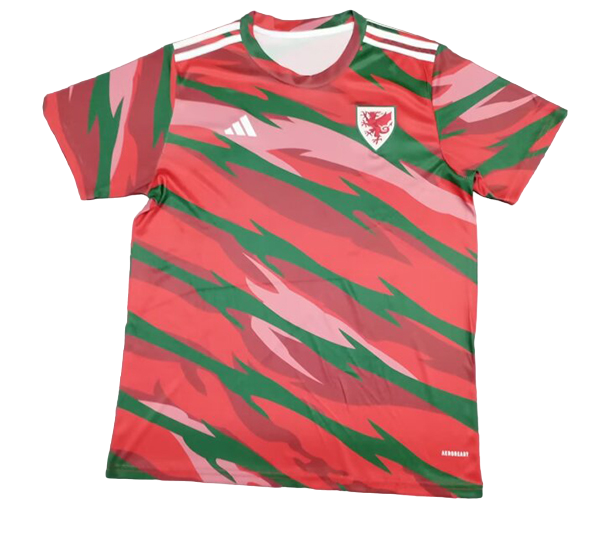 Galles - 2024 Maglia Allenamento