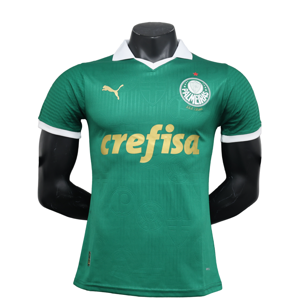 Palmeiras - 24/25 Player Version