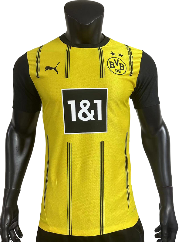 Borussia Dortmund - 24/25 Player Version