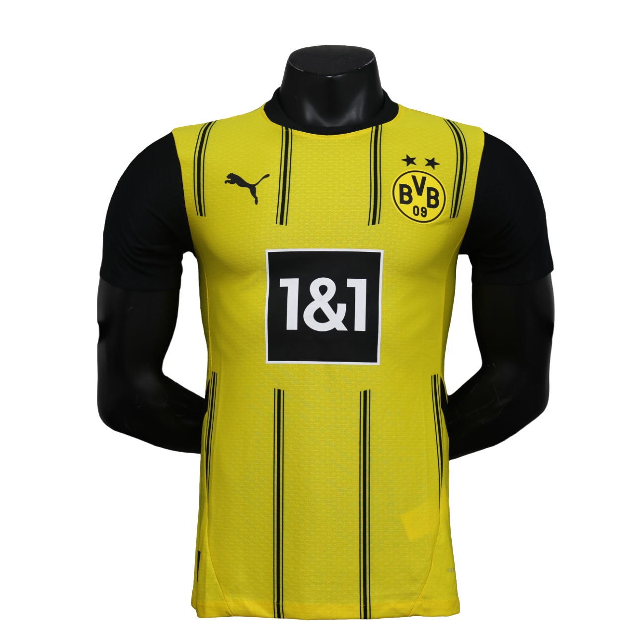 Borussia Dortmund - 24/25 Player Version