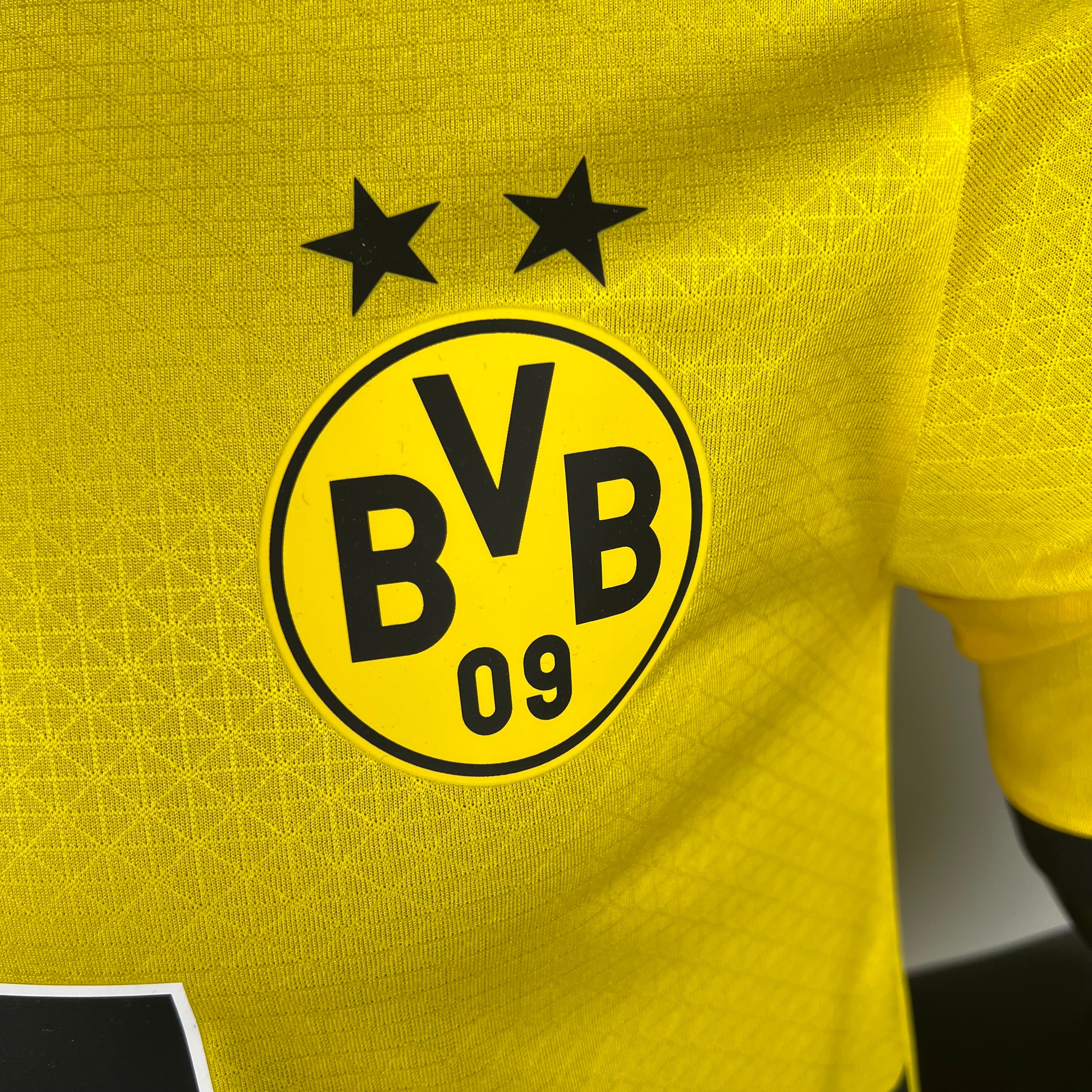 Borussia Dortmund - 23/24 Player Version