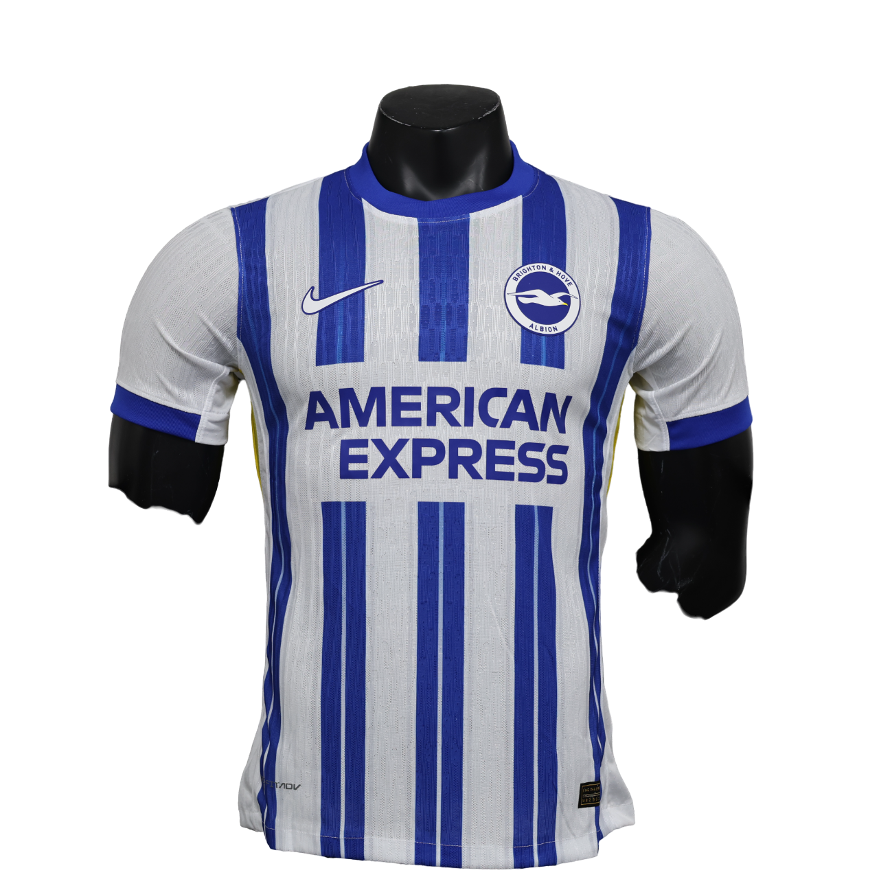 Brighton - 24/25 Player Version