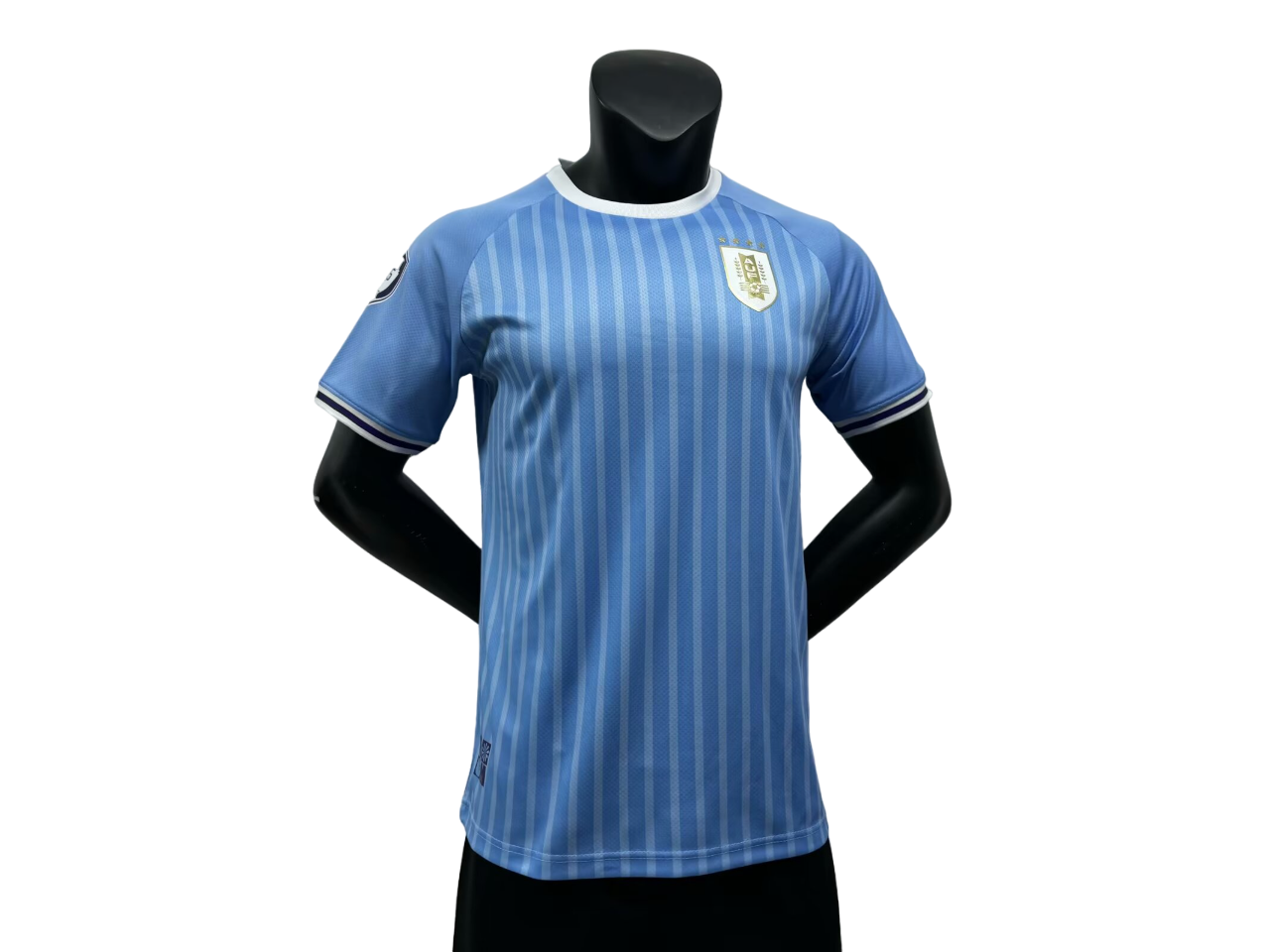 Uruguay - 2024 Player Version