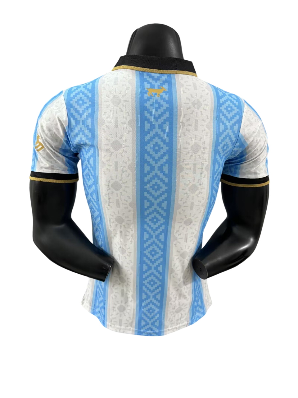 Argentina Special - 2024 Player Version