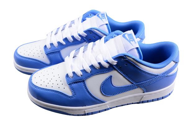 Nike Dunk Polar Blue