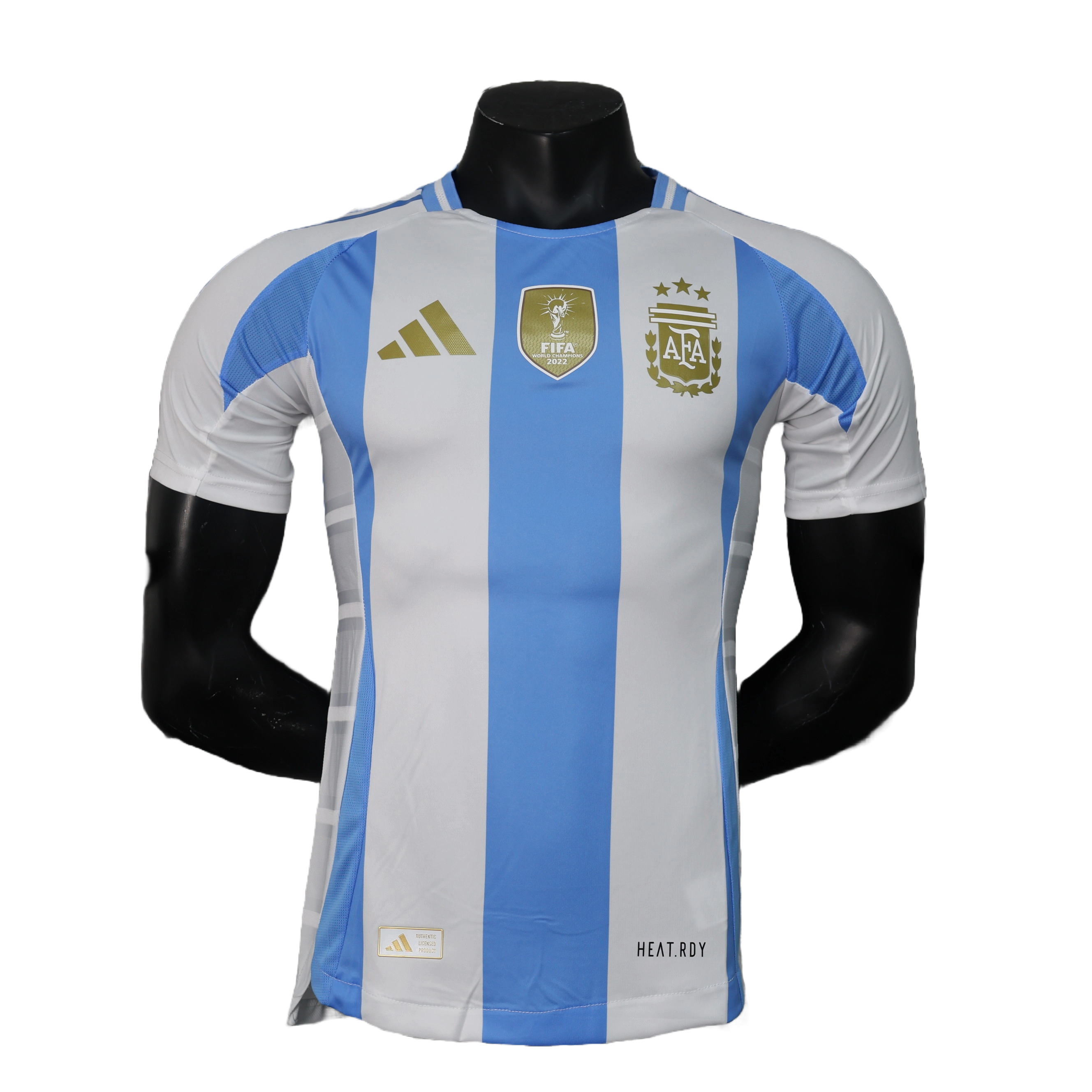 Argentina - 24/25 Player Version