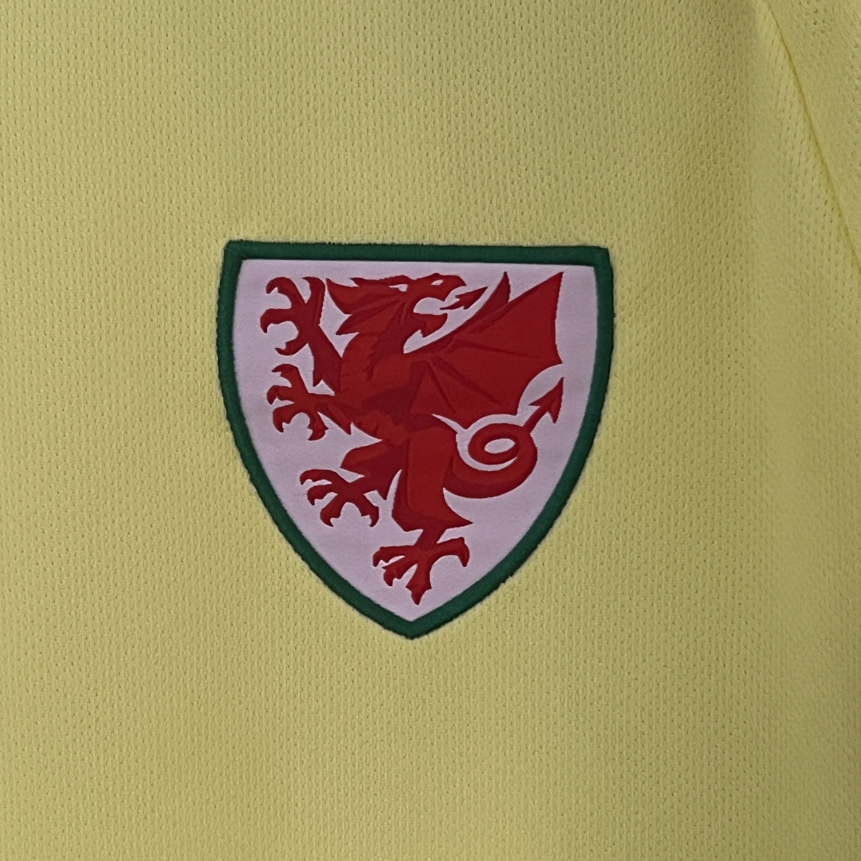 Wales Away - 2024