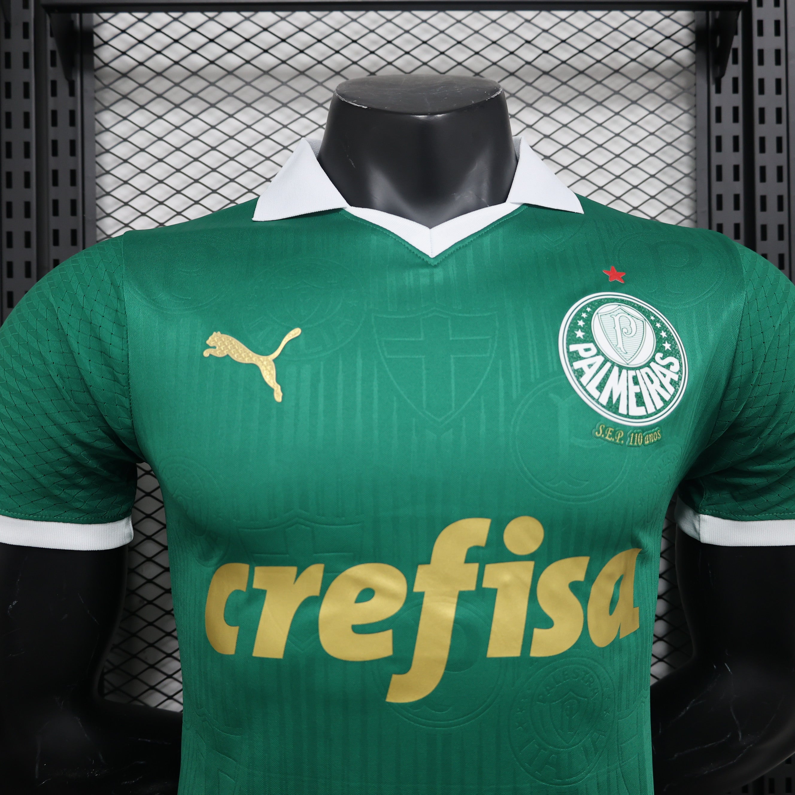 Palmeiras - 24/25 Player Version