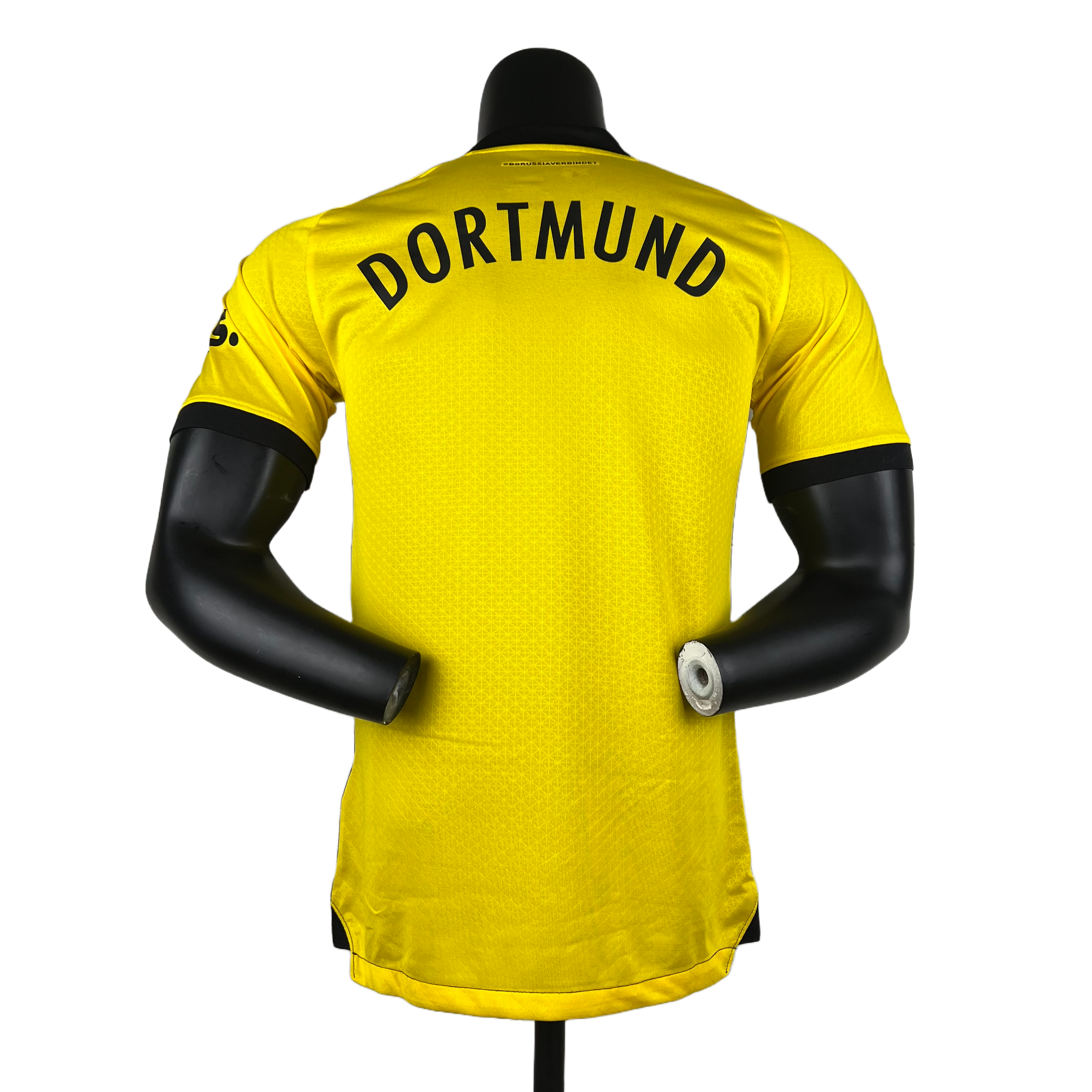 Borussia Dortmund - 23/24 Player Version