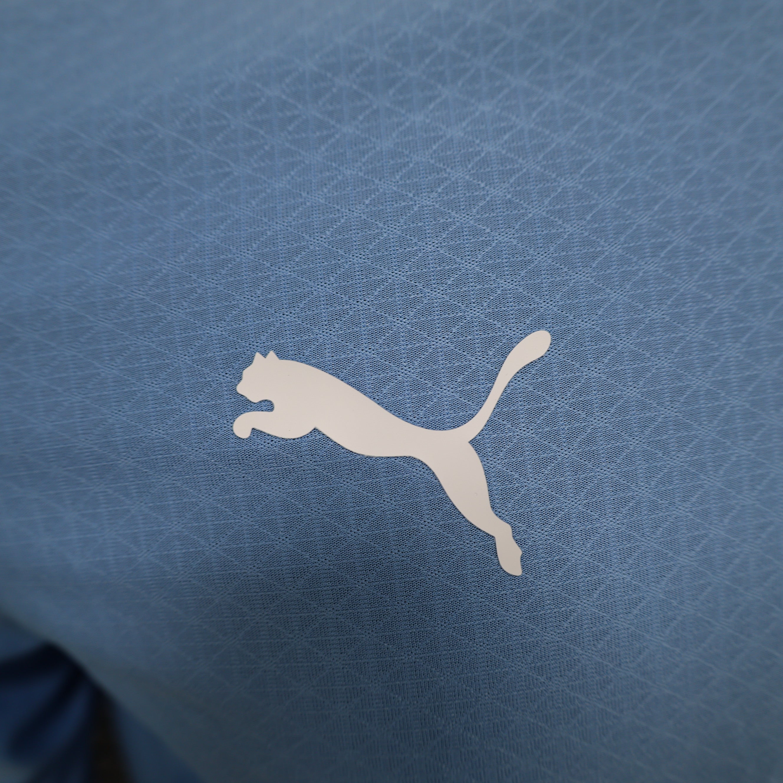 Manchester City - 23/24 Long Sleeve Player Version