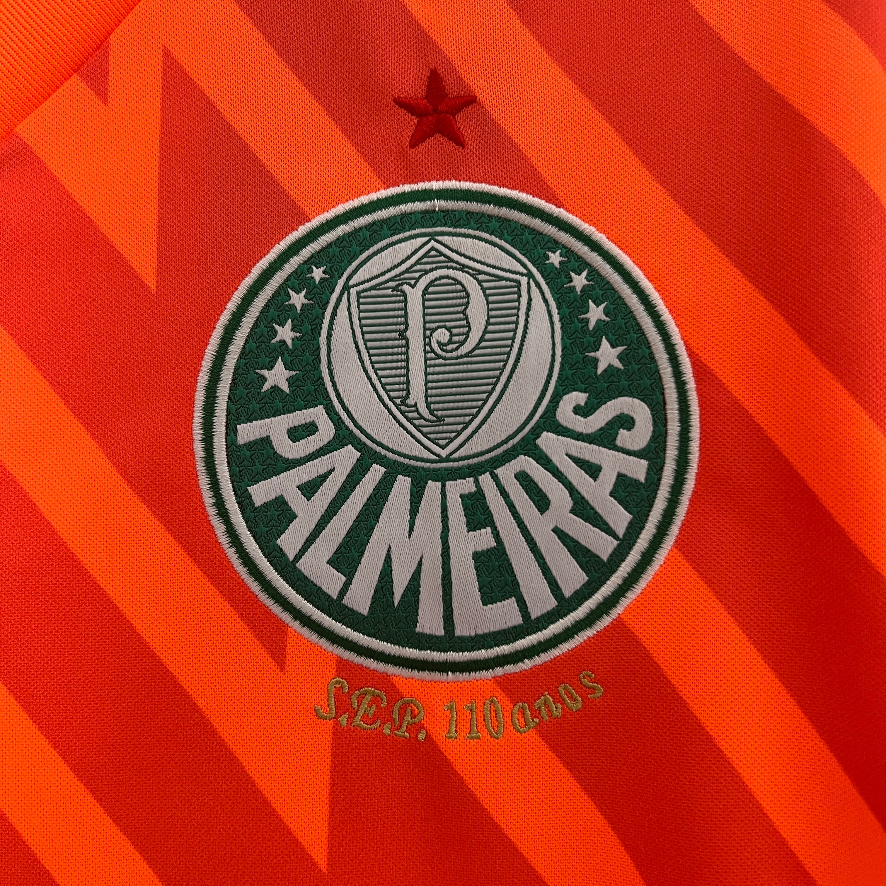 Palmeiras Portiere - 24/25