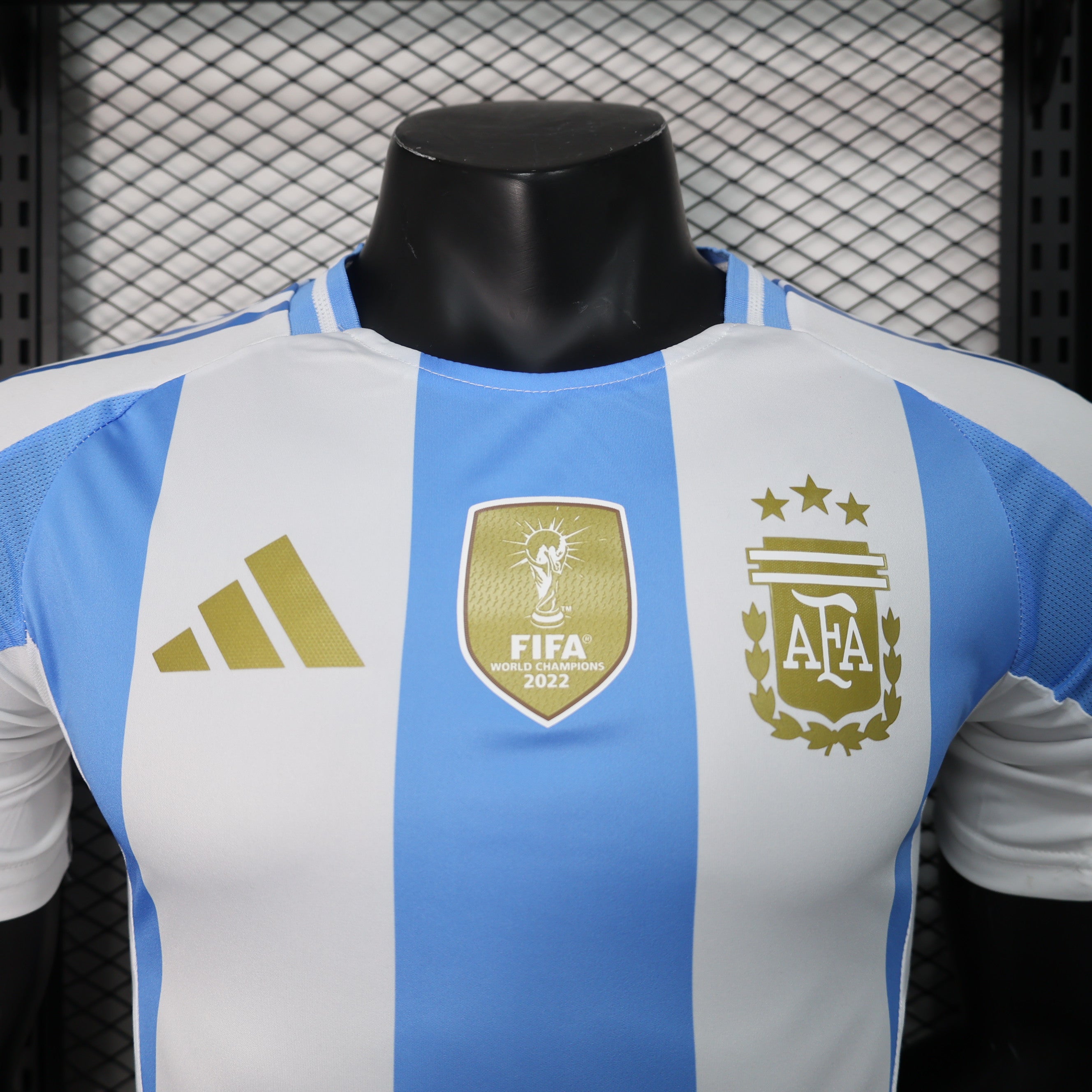 Argentina - 24/25 Player Version
