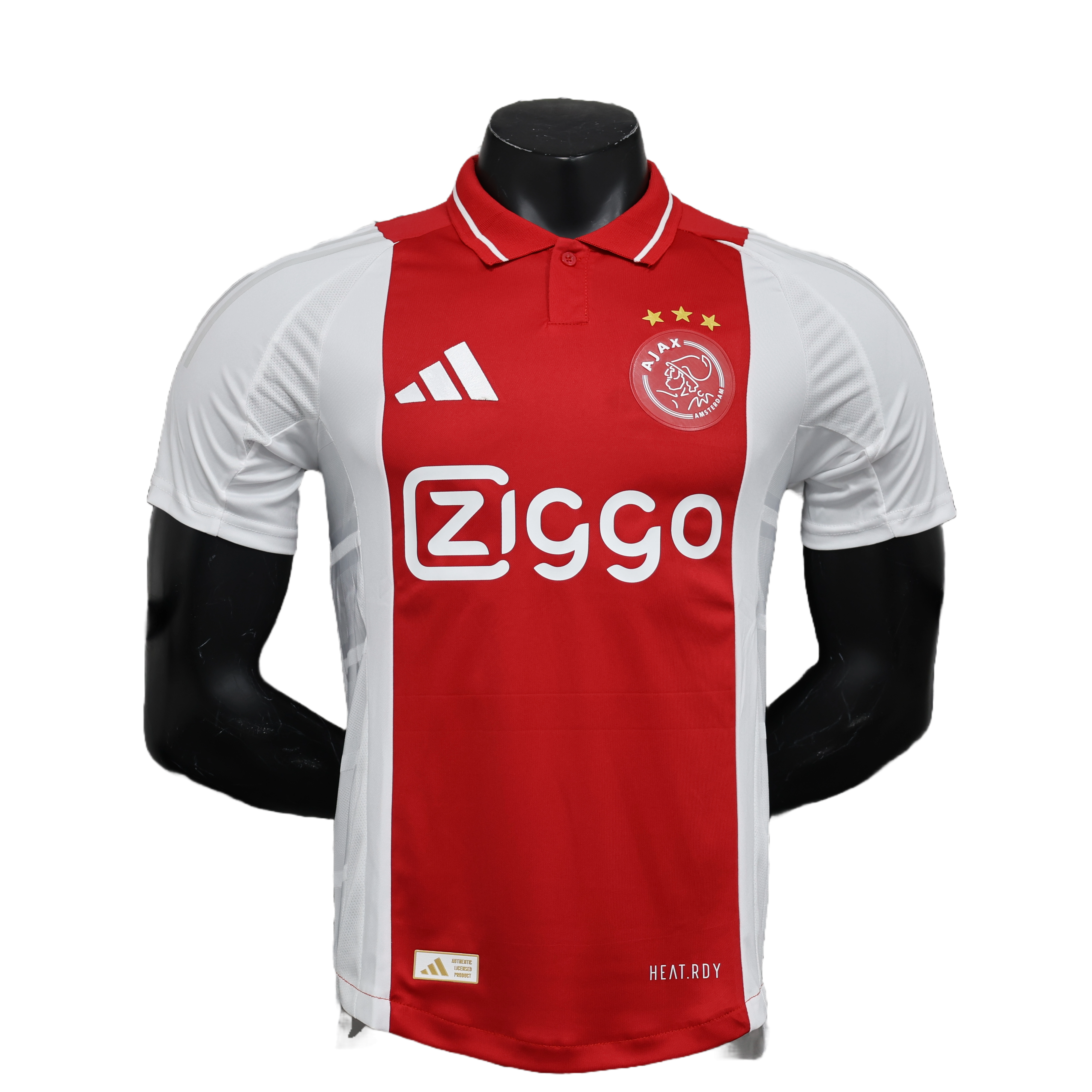 Ajax - 24/25 Player Version