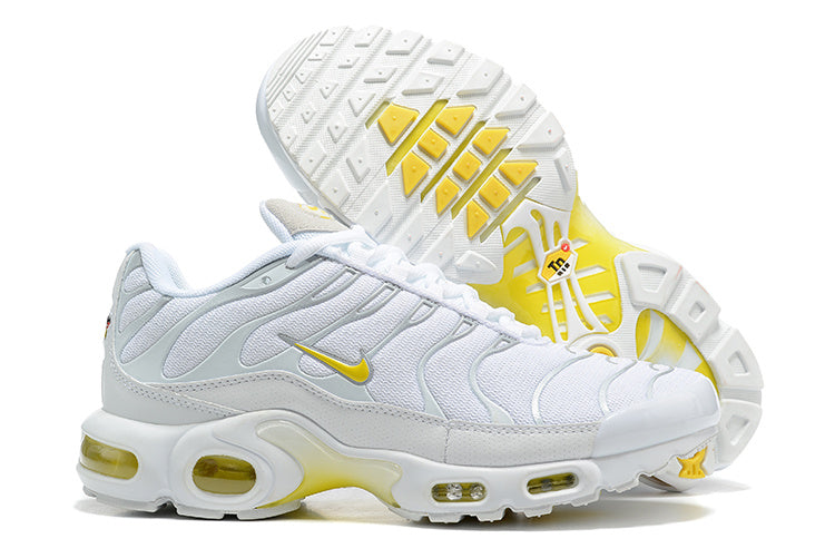 Nike Air Max Plus DV6987-100