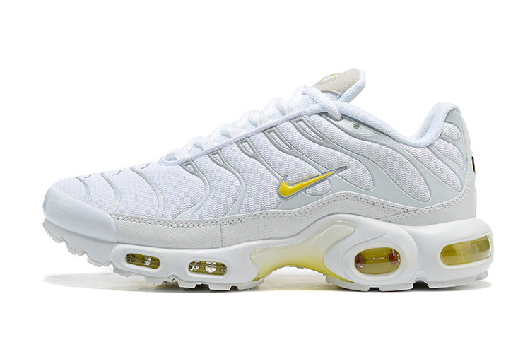 Nike Air Max Plus DV6987-100