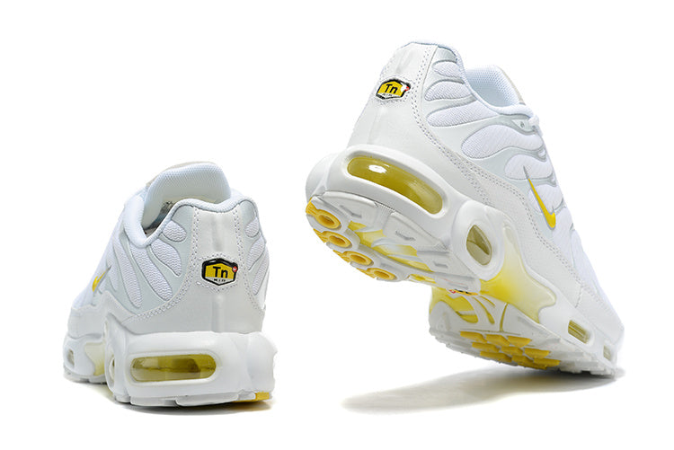 Nike Air Max Plus DV6987-100