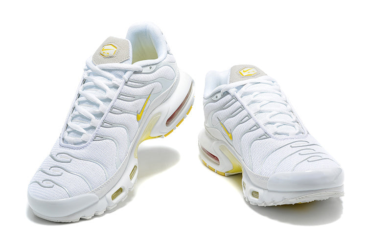 Nike Air Max Plus DV6987-100